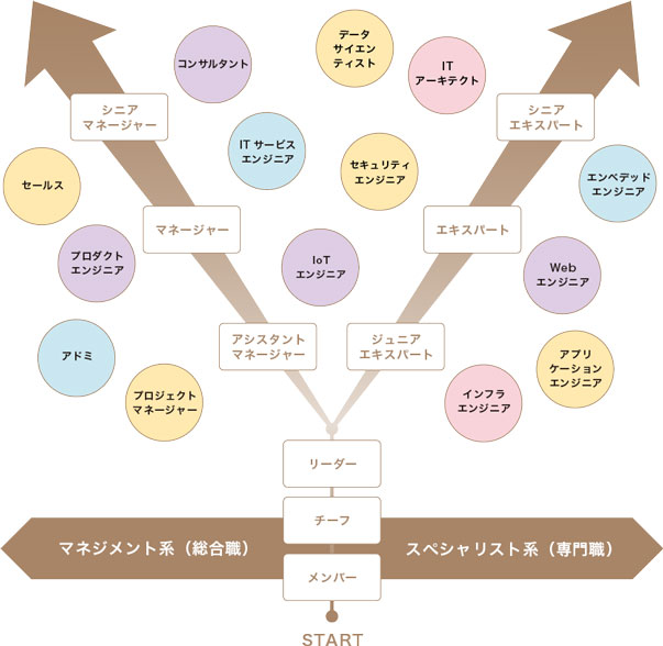 キャリアと研修制度
