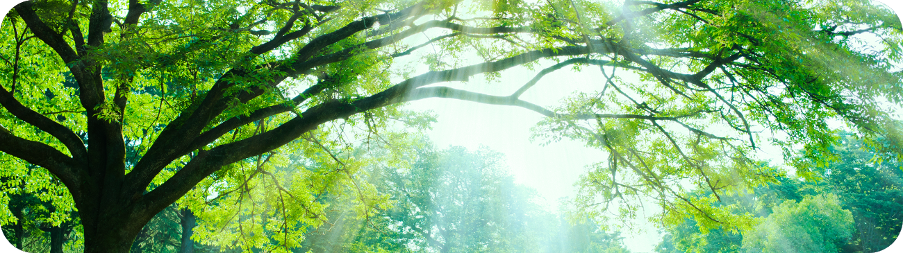 サステナビリティ